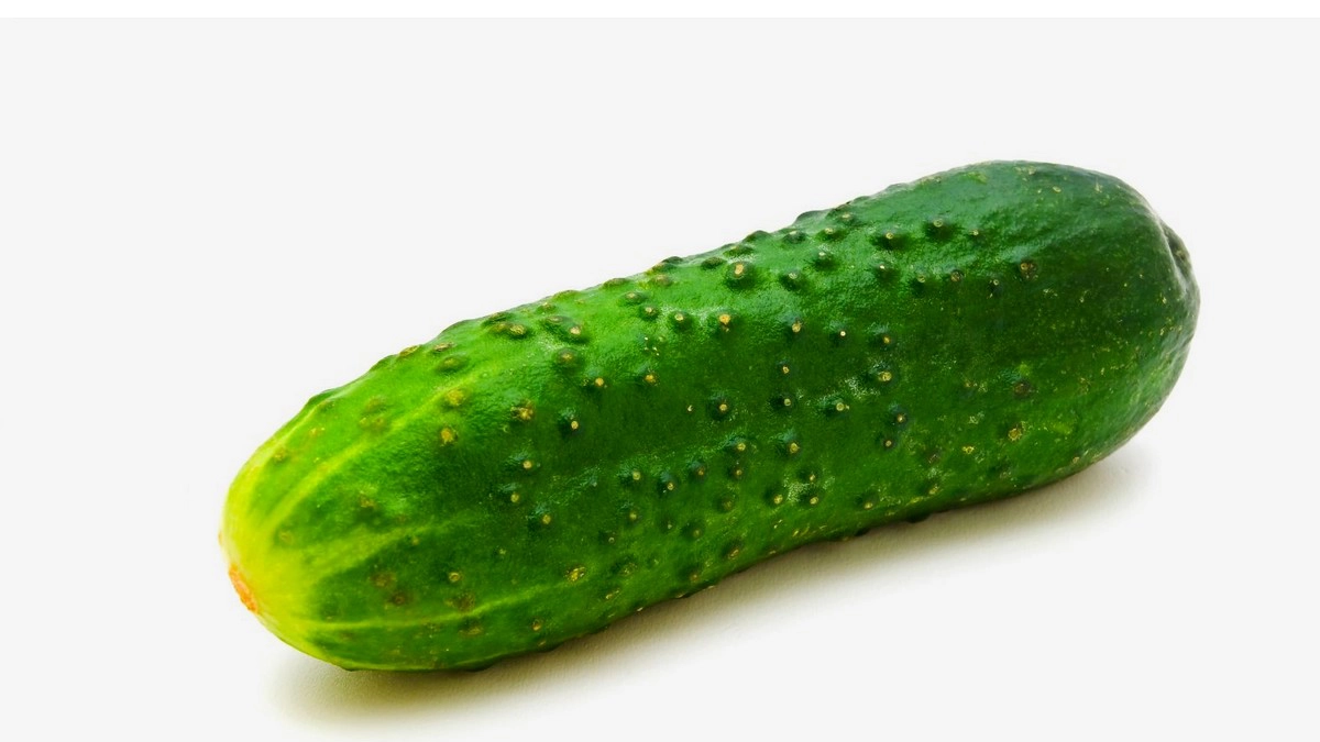 Different Vegetables