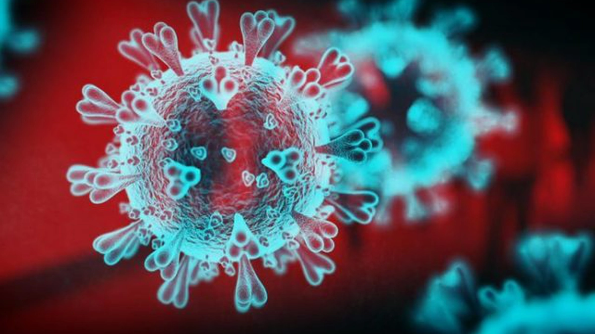coronavirus-noua-tulpina