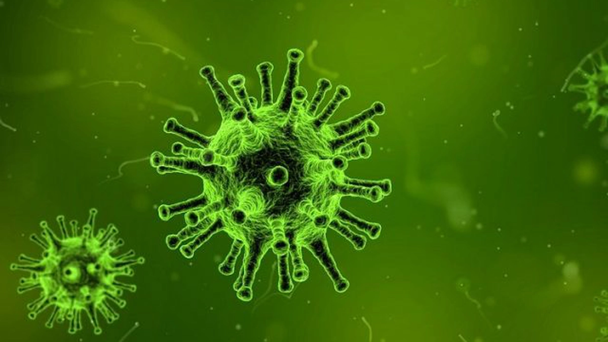 coronavirus-noua-tulpina5