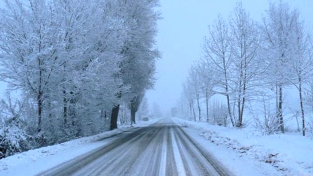 prognoza meteo ninsori