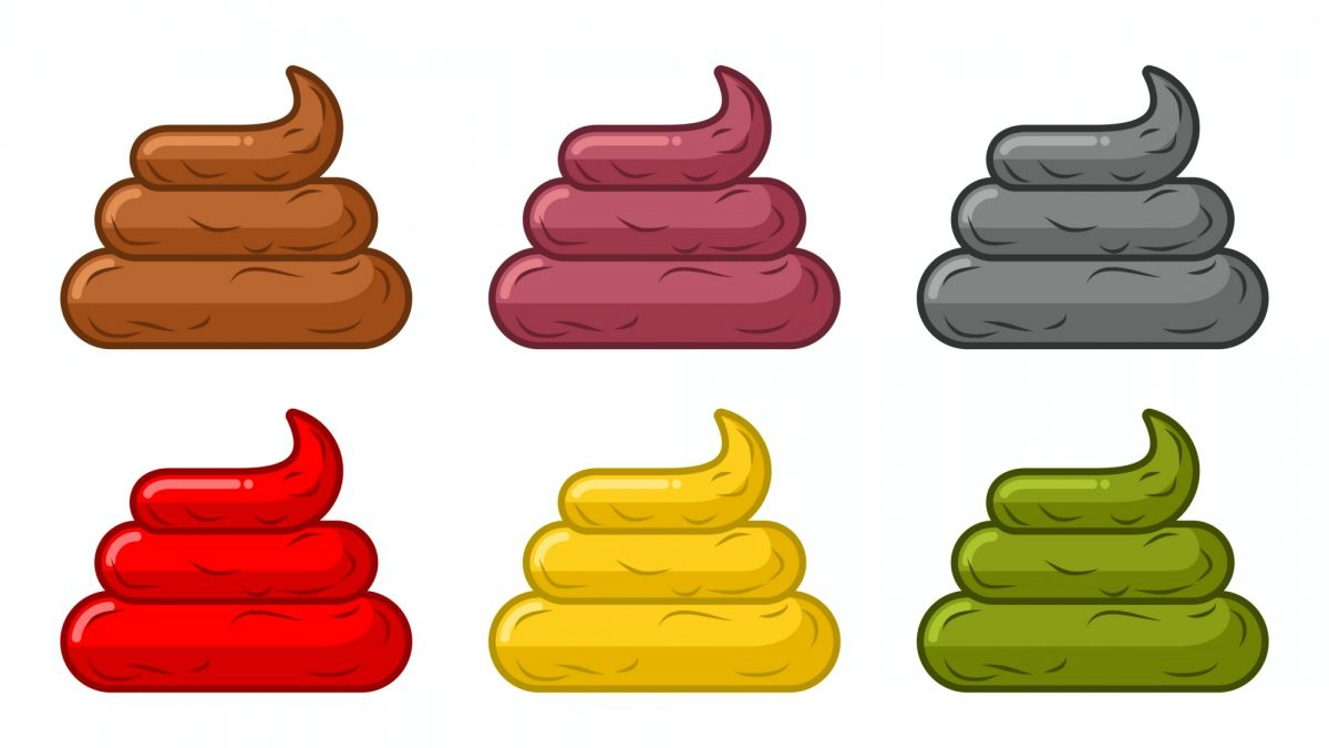 scaun