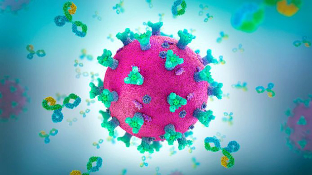 coronavirus