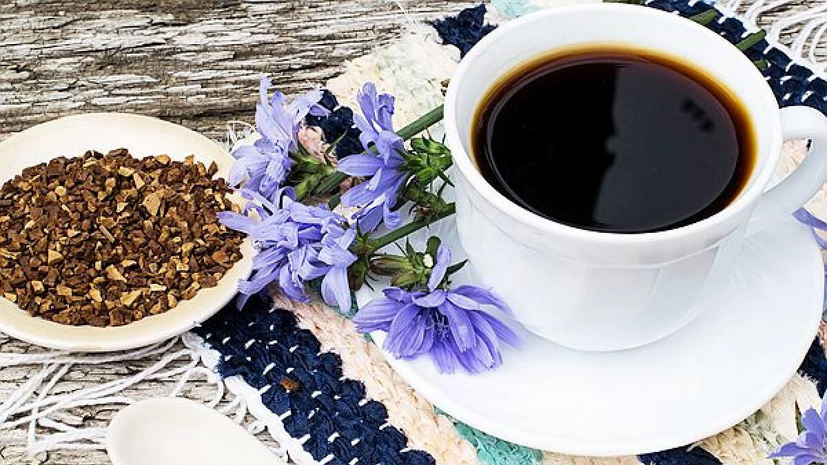 cafea-de-cicoare
