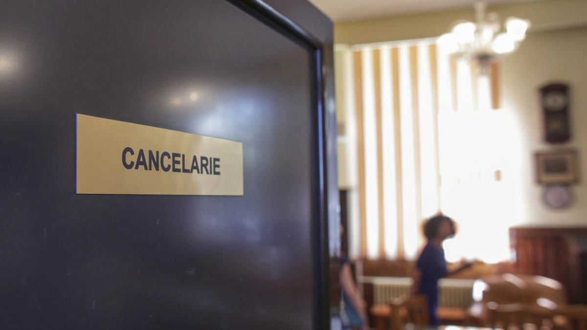 profesori-cancelarie