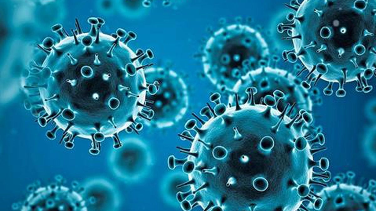 coronavirus-2