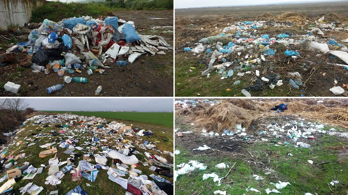 Mormane-de-gunoaie,-pe-câmpuri-din-Iași