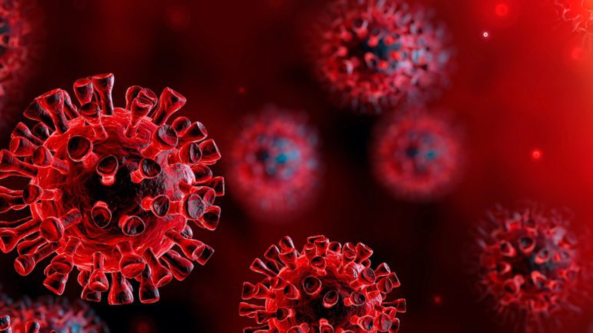 coronavirus