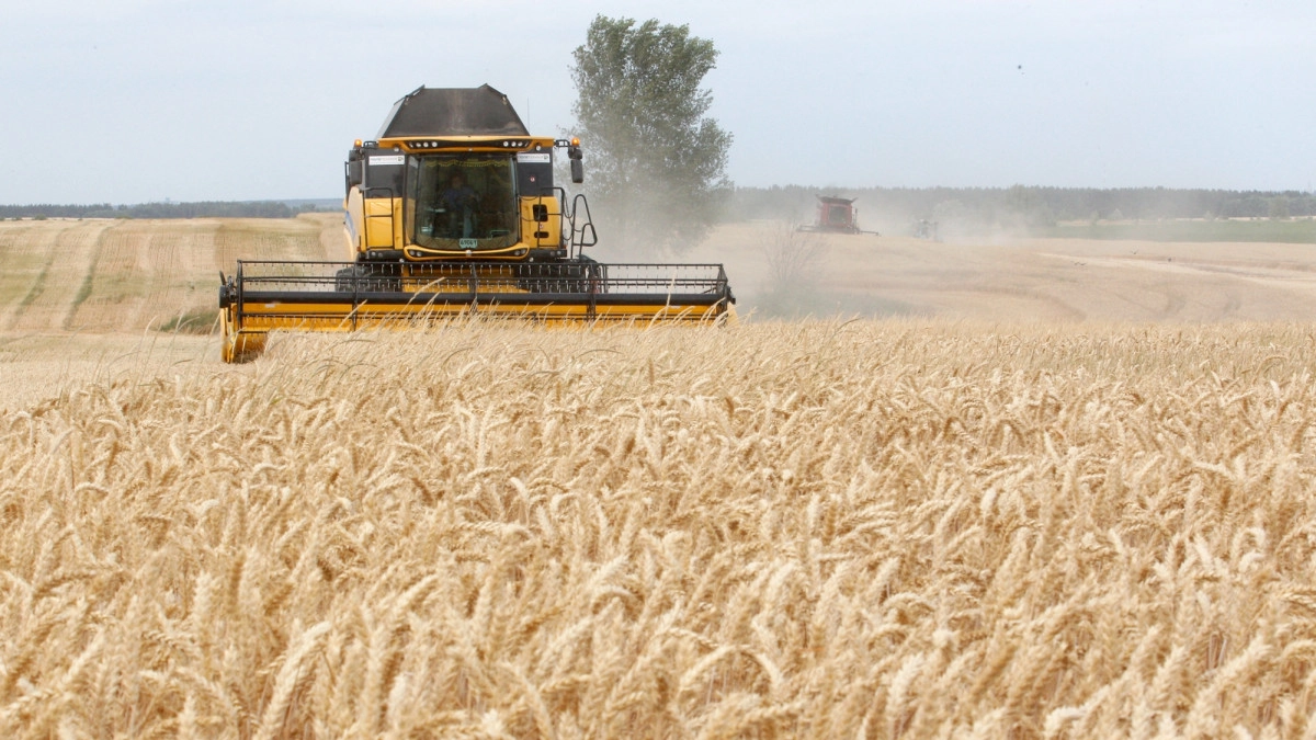 criză-alimentară-mondială-Rusia
