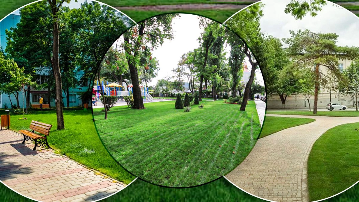 Parc-din-Iași-cu-gazon