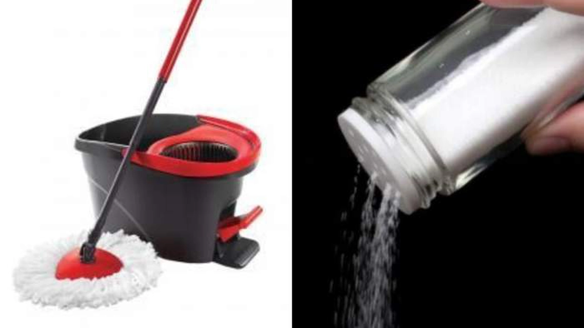 mop-sare