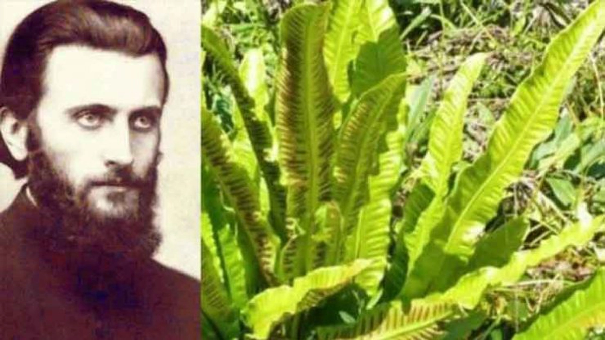 Leacuri-batranesti-pentru-pietre-la-fiere