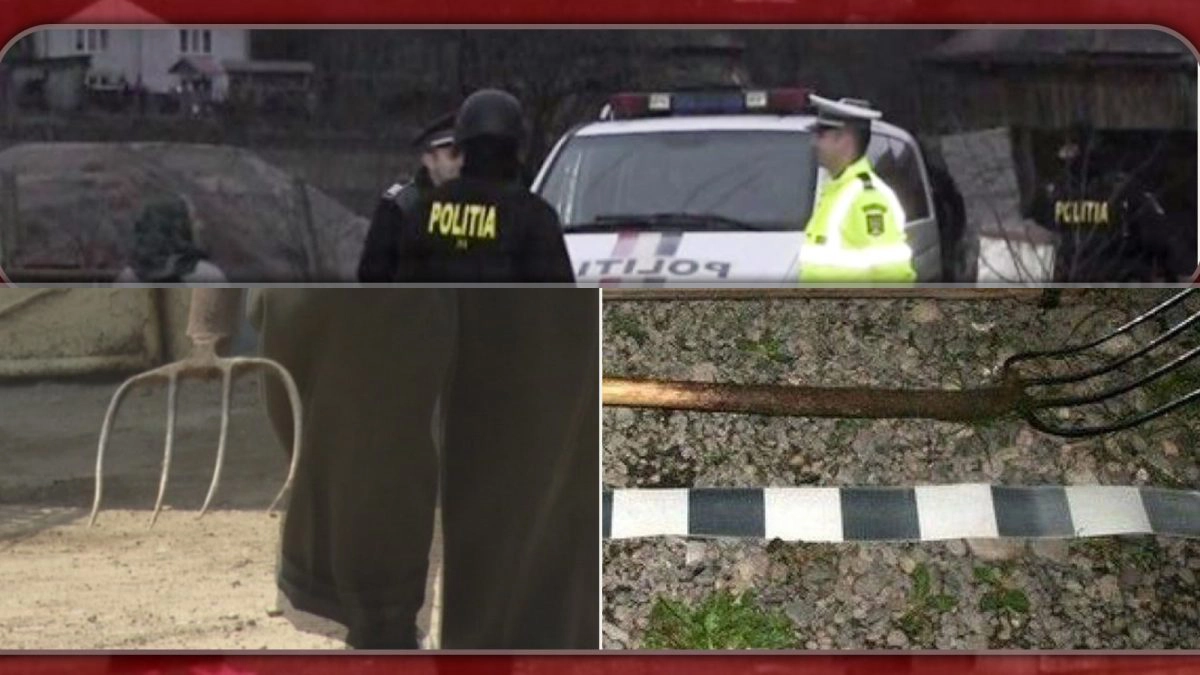 o poză cu niște tineri care se bat cu furcile