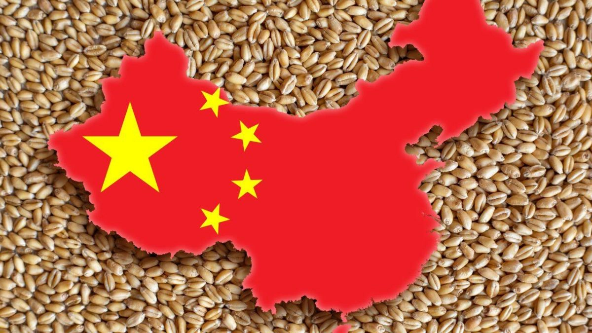 china-grâu