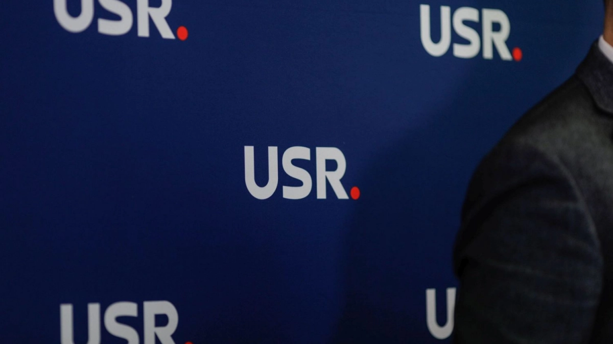 usr alegeri