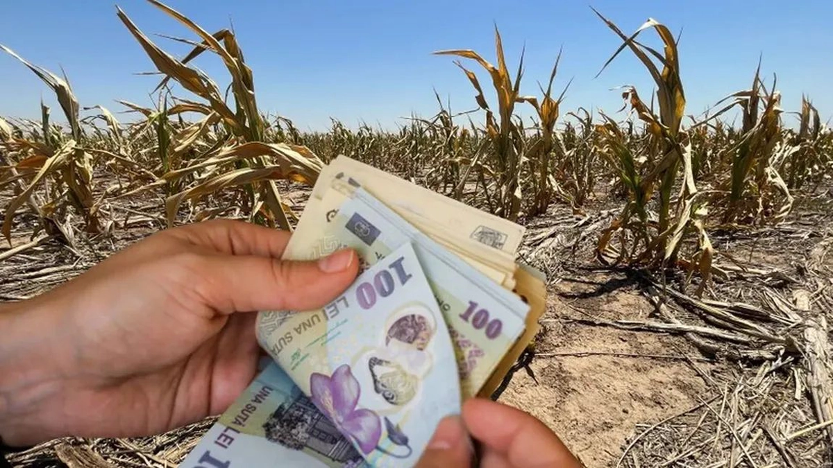 Românii-primesc-cel-puțin-1.000-de-lei