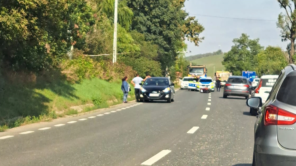 accident rutier vanatori
