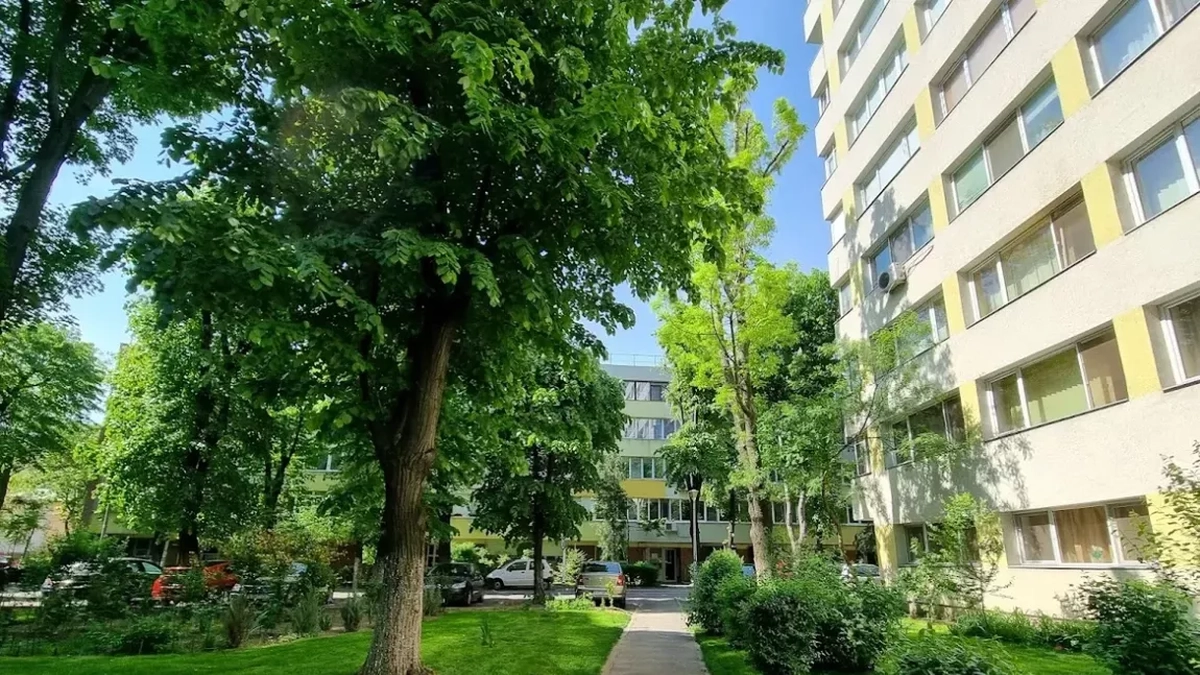 cei-care-stau-la-bloc 1