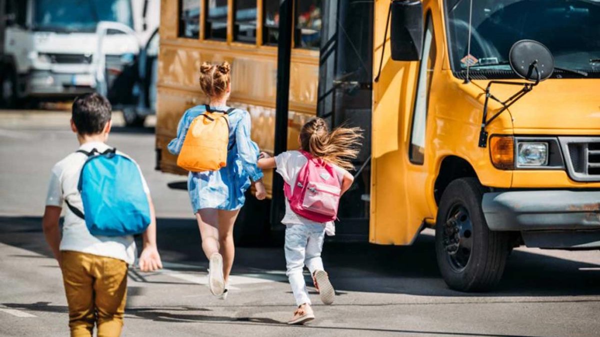 elevi solicitare gratuitate transport județean