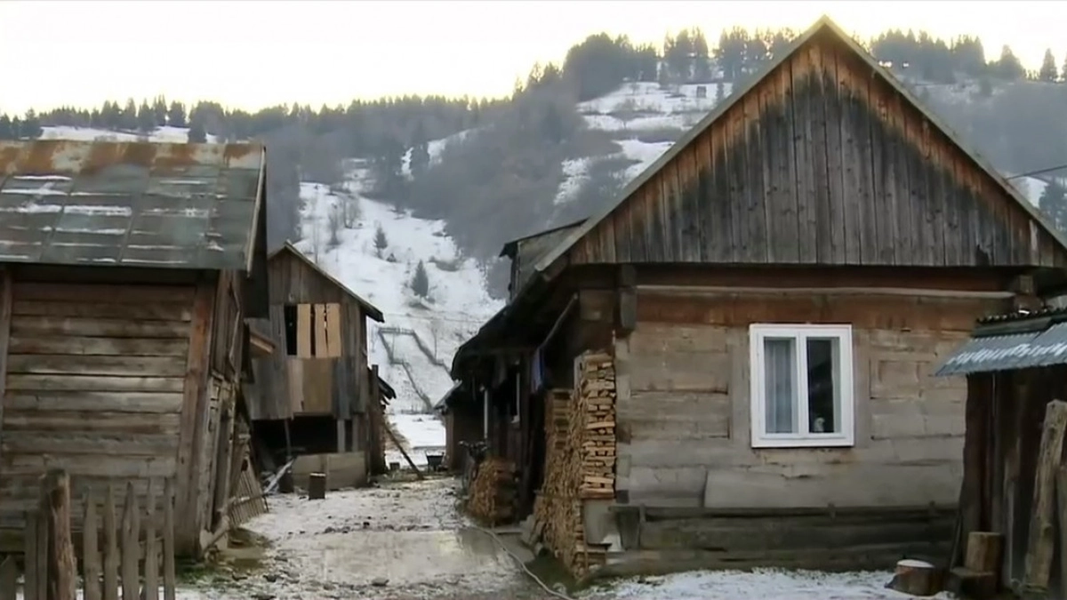 amenzi-pentru-cei-care-stau-la-curte 2