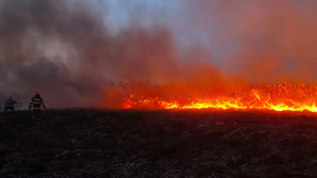 incendiu vegetatie
