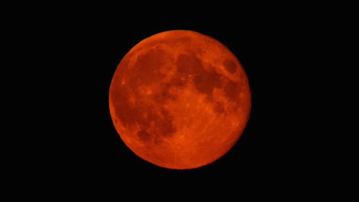 luna sangerie (3)