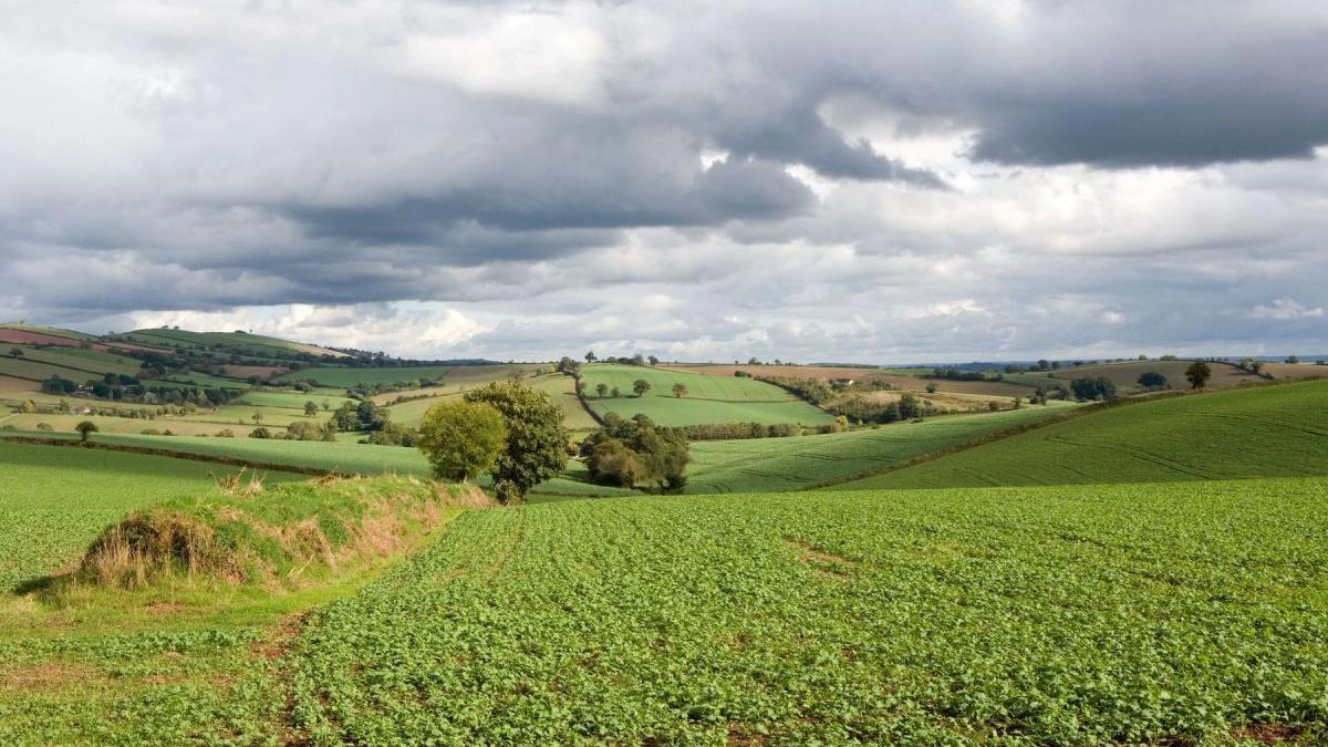 proprietarii-de-terenuri-agricole