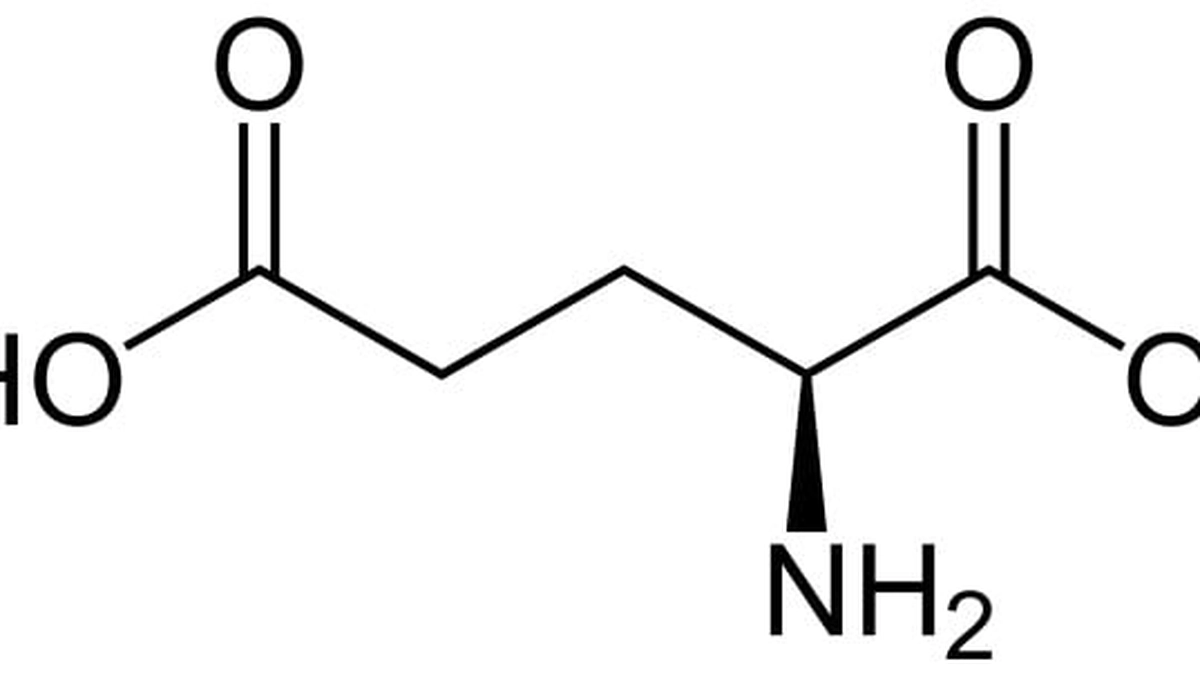 acidul-glutamic-1