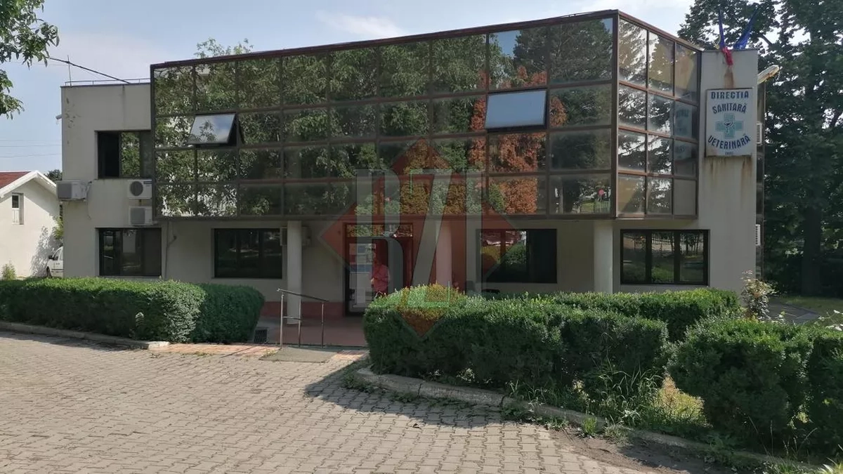 dsvsa-iasi