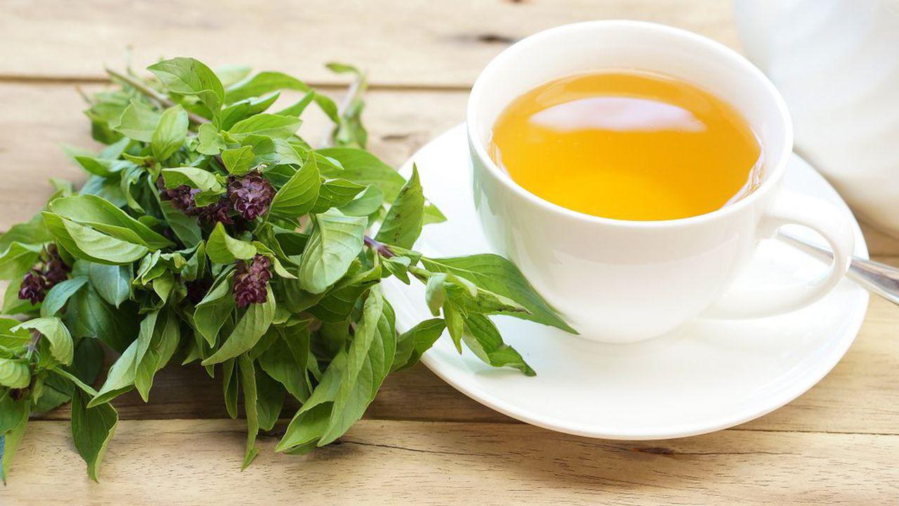 Ceai de busuioc in cura de slabire, 40 de beneficii medicinale ale busuiocului