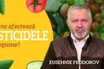 LIVE VIDEO 8211 Cum ne afectează pesticidele din legume Discuție cu Feodorov Eusehnie director executiv al Asociației Producătorilor de Legume Târgu-Frumos numai la BZI LIVE 8211 FOTO