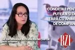 LIVE VIDEO 8211 Dr. Georgiana Alexandra Nechifor medic veterinar discută în emisiunea BZI LIVE despre condițiile pentru a călători cu animalele de companie