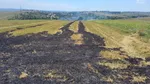 Incendiu de vegetație uscată la Iași. Pompierii intervin