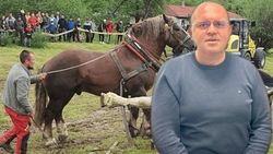 Moartea calului Falko zguduie opinia publică. Cazul a fost analizat de specialiștii DSVSA Iași. Dr. Cosmin Radu: „Proprietarul l-a suprasolicitat. Totul, pentru a câștiga acel concurs”