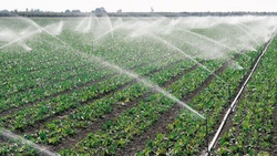 Proprietarii de terenuri agricole nu mai pot folosi apa fără autorizație! Unde se aplică legea 