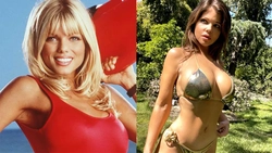 Donna D’Errico a pozat într-un costum de baie senzual roșu. Fanii au spus că arată mai bine ca niciodată la 57 de ani