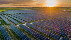 Primăria Victoria, din județul Iași, caută firme pentru înființarea unui parc fotovoltaic! Proiectul depășește 3 milioane de lei