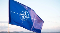 Mai multe persoane au fost arestate în cadrul unei vaste anchete anticorupţie care implică o agenţie NATO