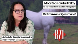 LIVE VIDEO – Despre moartea calului Falko, un caz care a stârnit revoltă în întreaga țară, în emisiunea de sănătate BZI LIVE, unde dr. Georgiana Alexandra Nechifor, medic veterinar, va explica din punct de vedere medical ce ar fi putut să îi cauzeze moartea acelui cal folosit în concurs