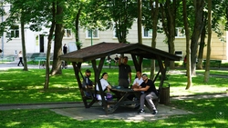 Unde natura devine sală de lectură! Studenții USV Iași învață în aer liber