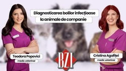 LIVE VIDEO – Despre diagnosticarea bolilor infecțioase la animale de companie alături de Teodora Popovici și Cristina Agafiței, medici veterinari, la BZI LIVE