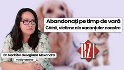 LIVE VIDEO – Abandonate pe străzi în vacanță, animalele de companie devin victimele verii toride. Dezbatem acest subiect în cadrul emisiunii BZI LIVE, împreună cu invitata dr. Alexandra Georgiana Nechifor, medic veterinar