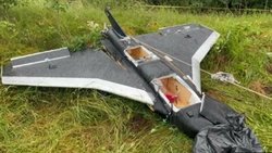 Premierul și președintele parlamentului lituanian au fost evacuați de urgență după prăbușirea unei drone