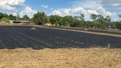 Incendiu de lan de grâu și vegetație uscată în satul Medeleni, comuna Golăiești, județul Iași