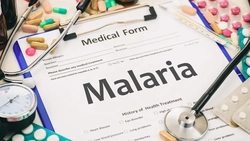 Caz de malarie confirmat în România. În ce stare se află pacientul