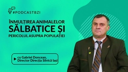 LIVE VIDEO – Despre înmulțirea animalelor sălbatice și pericolul la care este expusă populația, într-un nou episod de PodcastBZI, cu Gabriel Doncean, directorul Direcției Silvice Iași