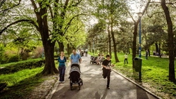 În Iași, în zona Sărărie, vor fi amenajate un parc și o pădure urbană: „Într-un oraș cu un ritm alert de dezvoltare urbană și trafic intens, fiecare copac contează”