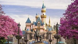 O prințesă Disney refuză să facă poze cu un fan! Motivul te va șoca