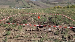 94 de elemente de muniție din cel de-Al Doilea Război Mondial, descoperite în localitatea Vulturi, comuna Popricani