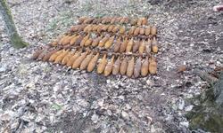 Bombe Din Al Doilea Război Mondial Găsite La Marginea Unei Păduri Dintr O Localitate Din Iași Buna Ziua Iasi Bzi Ro