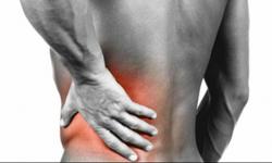 Dureri de spate vs dureri de rinichi - diferență și comparație - - Blogul